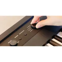 Korg Liano L1 88-Key Digital Piano