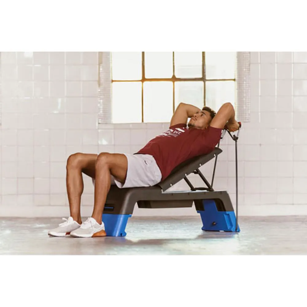 Reebok Deck Adjustable Workout Bench - Blue