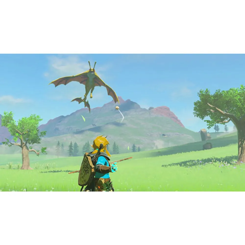 Legend of Zelda: Tears of the Kingdom (Switch)