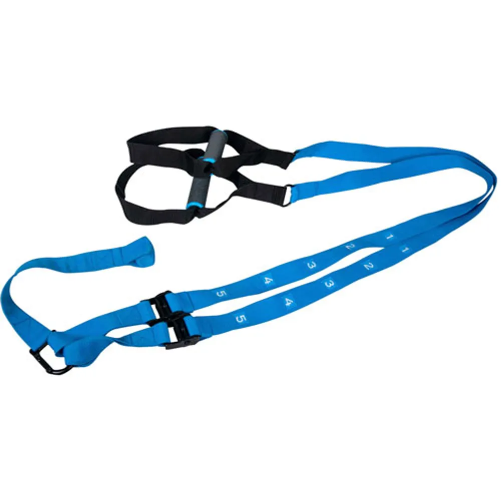 Iron Body Fitness Gravity Trx-Style Training Straps - Blue/Black