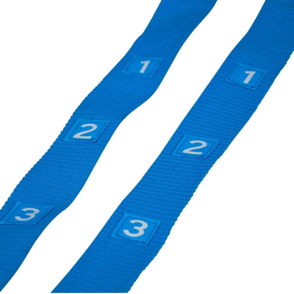 Iron Body Fitness Gravity Trx-Style Training Straps - Blue/Black