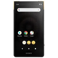 Sony Walkman ZX Series 64GB Digital Music Player (NWZX707/S) - Black