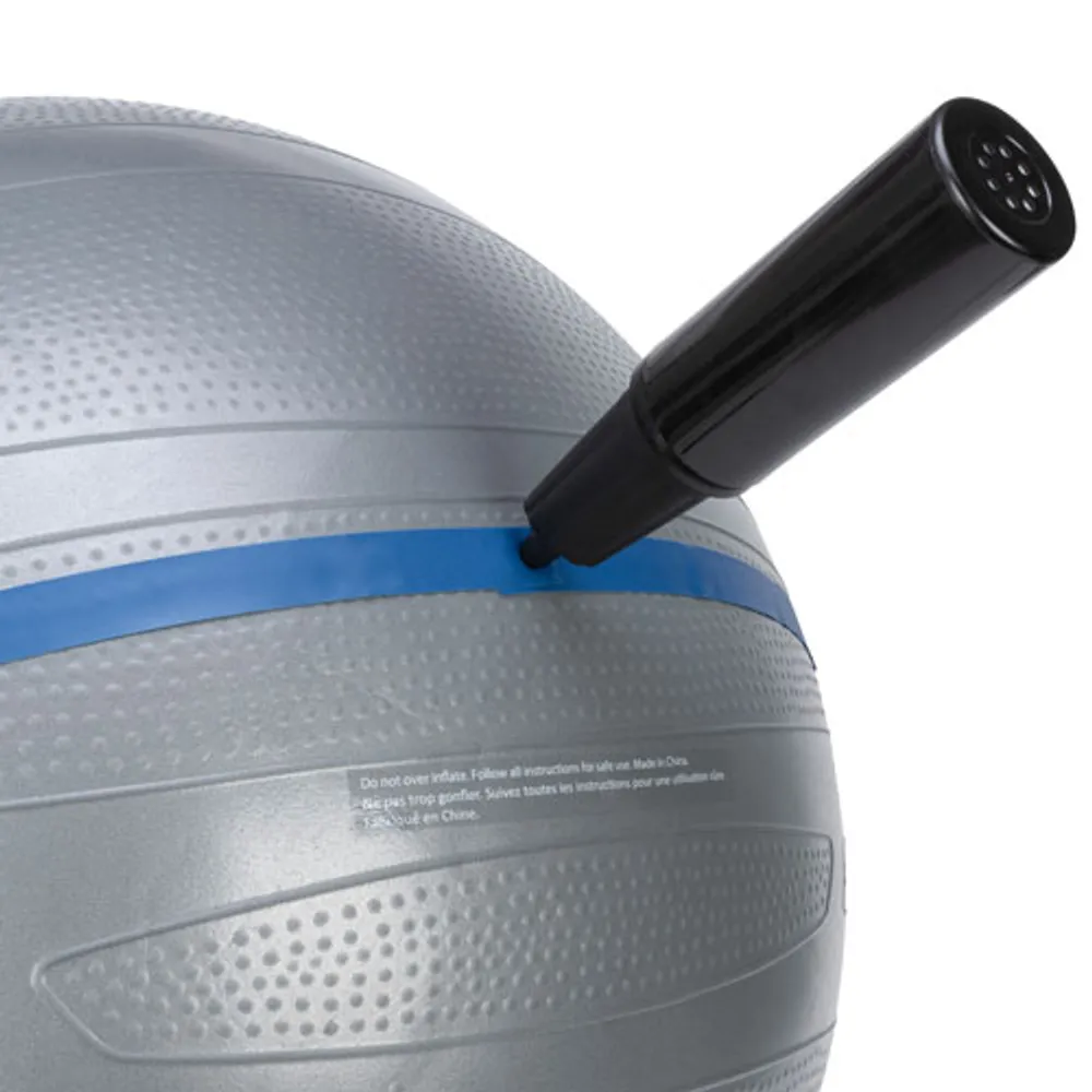 Everlast Pro Grip 75cm Burst Resistant Fitness Ball - Grey