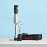 Vitamix 625-Watt Immersion Blender with Whisk Attachment - Stainless Steel