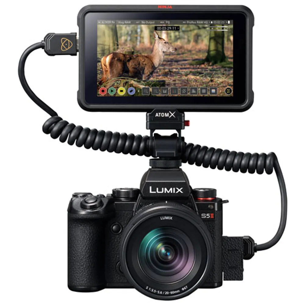 Appareil photo sans miroir plein cadre LUMIX DCS5M2K de Panasonic avec objectif 20-60 mm