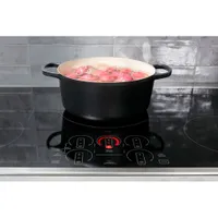 GE Profile 30" 4-Element Induction Cooktop (PHP7030DTBB) - Black