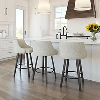 Ramon Traditional Counter Height Barstool