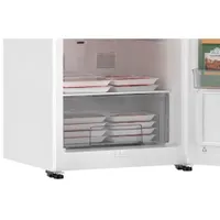 Galanz 16 Cu. Ft. Frost-Free Upright Freezer (GLF16UWEE23) - White