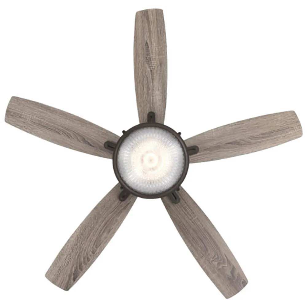 Westinghouse Oyster Bay 52" LED Ceiling Fan - Black Bronze