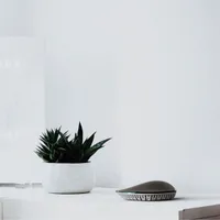 Alfred + Ezlo Plus Smart Home Hub