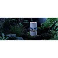 Smartmi Rainforest 3L Evaporative Smart Humidifier