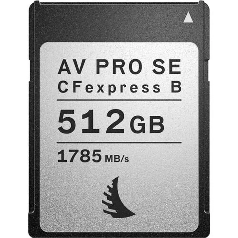 SanDisk 256GB Extreme PRO CFexpress Card Type B - SDCFE-256G-GN4NN - Black