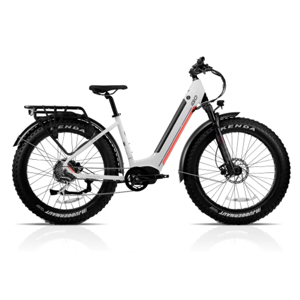 electric bike igo