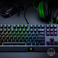 BlackWidow Backlit Mechanical Green Switch Gaming Keyboard