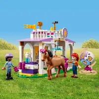 LEGO Friends: Horse Training - 134 Pieces (41746)