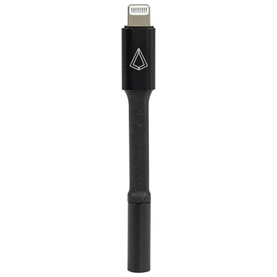 Câble audio Lightning/3,5 mm de 0,08 m (0,26 pi) de LBT