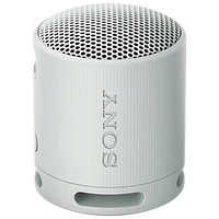 Sony SRS-XB100 Waterproof Bluetooth Wireless Speaker - Light Grey
