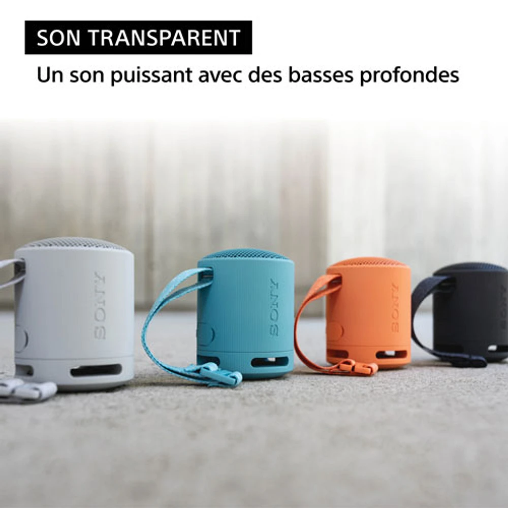 Sony SRS-XB100 Waterproof Bluetooth Wireless Speaker - Light Grey