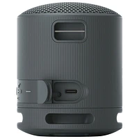 Sony SRS-XB100 Waterproof Bluetooth Wireless Speaker - Black