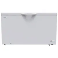 Galanz 14 Cu. Ft. Chest Freezer (GLF14CWED12)