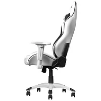 AKRacing California Ergonomic Faux Leather Gaming Chair