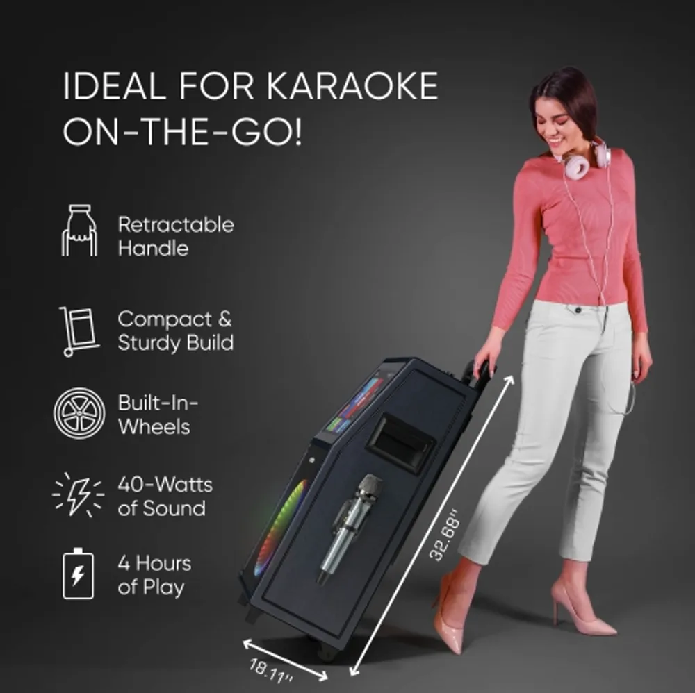 MASINGO Karaoke Machine for Adults & Kids with 2 Wireless