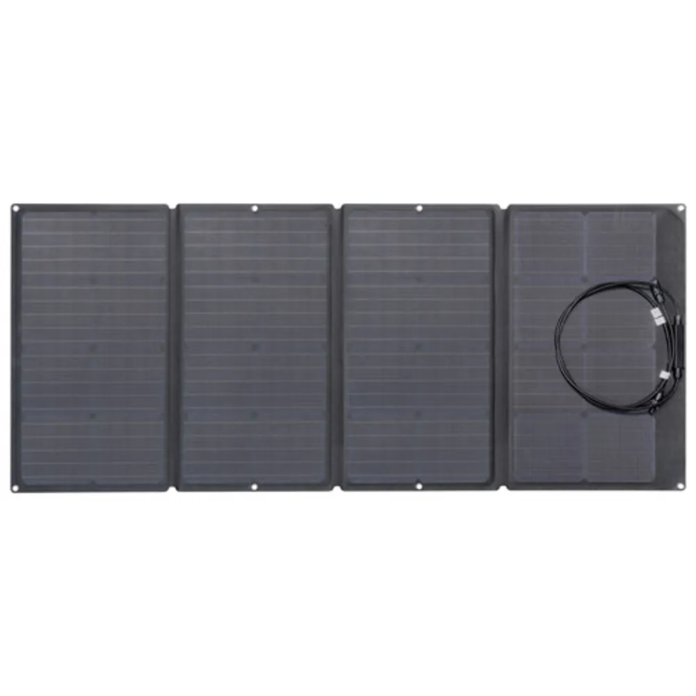 EcoFlow Portable Solar Panel - 160 Watts