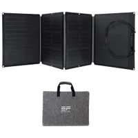 EcoFlow Portable Solar Panel - 110 Watts