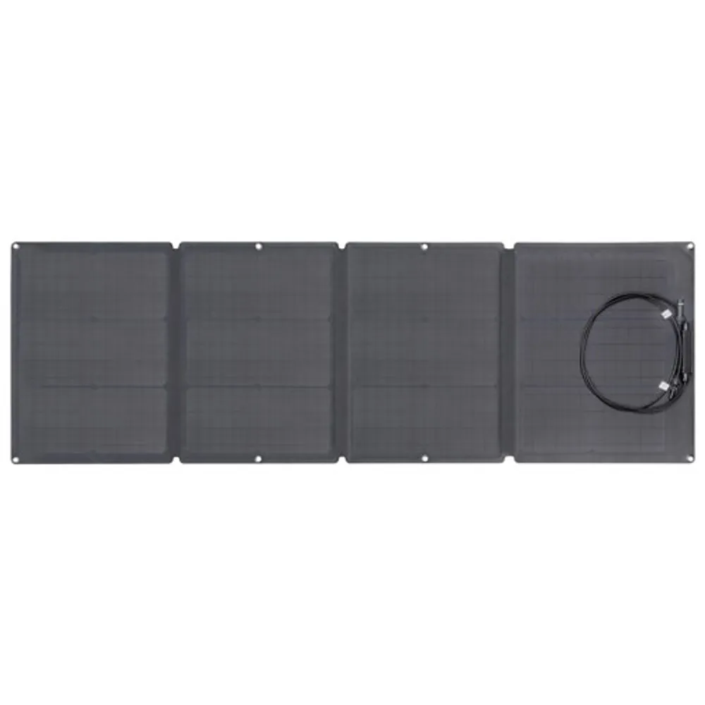 EcoFlow Portable Solar Panel - 110 Watts