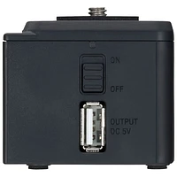 Zoom BCQ-2N Battery Case for Q2n / Q2n-4K (ZBCQ2N)