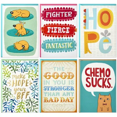 Birthday Cards Assortment, 12 Cards with Envelopes (Premium Refill Pack for  Card Organizer Box)