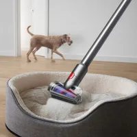 Aspirateur-balai sans fil V8 de Dyson - Argenté/Nickel