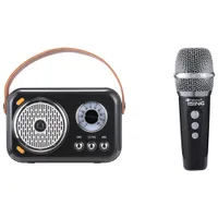 Ising Mini Karaoke Speaker with Wireless Microphones (ISK205)