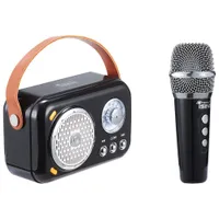 Ising Mini Karaoke Speaker with Wireless Microphones (ISK205)