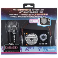 Mini haut-parleur de karaoké avec microphones sans fil d'Ising (ISK205)