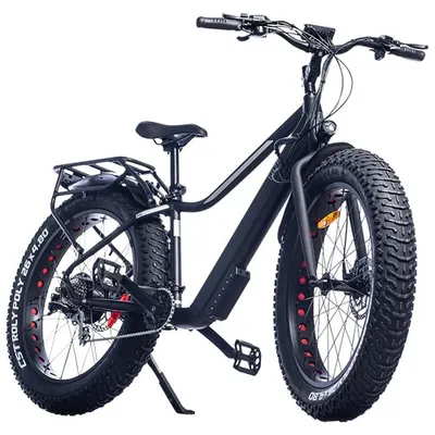 Ebze F48 500W Electric Fat Tire Bike with up to 60km Battery Range - Black