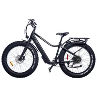 Ebze F48 500W Electric Fat Tire Bike with up to 60km Battery Range