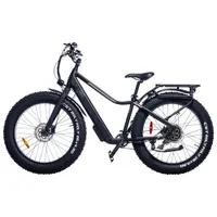 Ebze F48 500W Electric Fat Tire Bike with up to 60km Battery Range - Black