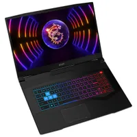 MSI Pulse Series 17.3" Gaming Laptop - Titanium Grey (Intel Core i9-13900H/1TB SSD/16GB RAM/GeForce RTX 4070/Win 11)