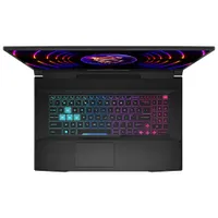 MSI Katana Series 17.3" Gaming Laptop - Black (Intel Core i9-13900H/1TB SSD/16GB RAM/GeForce RTX 4060/Win 11)