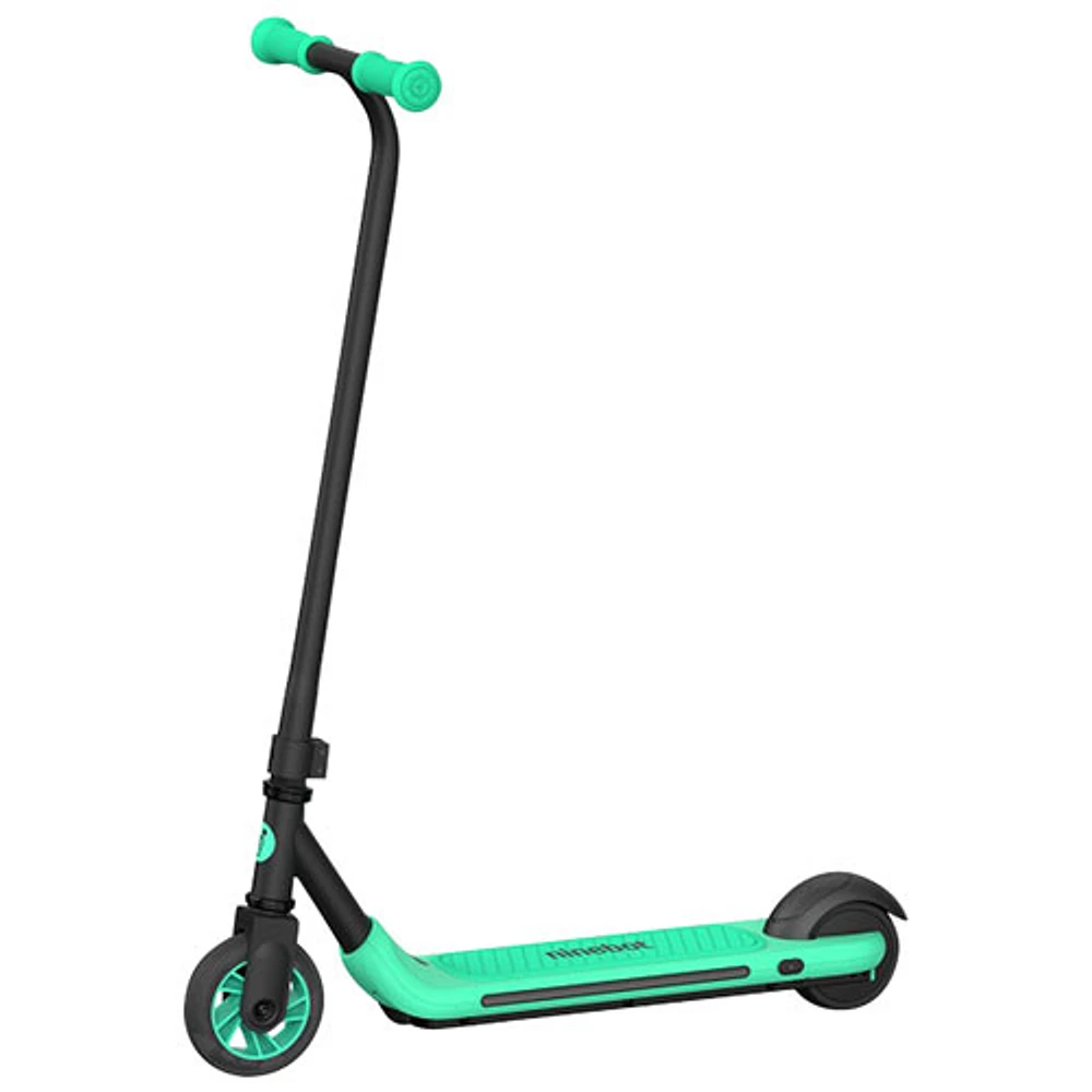 Trottinette électrique pour enfants Ninebot eKick Zing A6 de Segway - Gris foncé/Vert