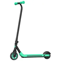 Trottinette électrique pour enfants Ninebot eKick Zing A6 de Segway - Gris foncé/Vert