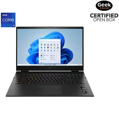 Open Box - HP 17" Gaming Laptop - Shadow Black (Intel Core i9 13900HX/2TB SSD/32GB RAM/GeForce RTX 4090 /Win 11)