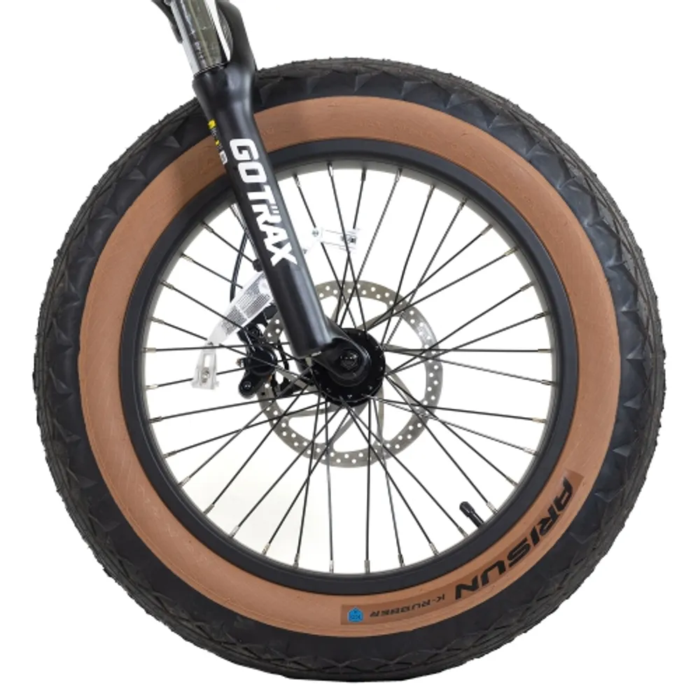 gotrax fat bike