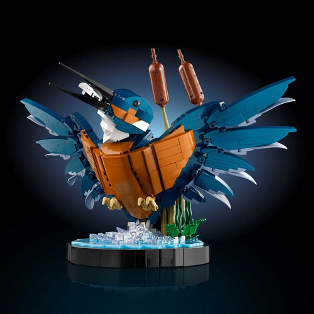 LEGO Icons : L'oiseau martin-pêcheur - 834 pièces (10331)