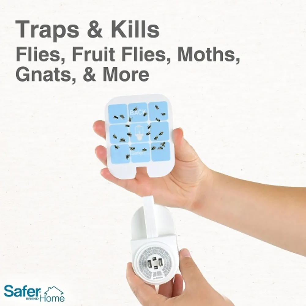 Safer Home Indoor Plug-in Fly Trap REFILL Pack of Glue Cards for SH502 Indoor  Fly Trap – 2 Pack (6-count refill) SH503