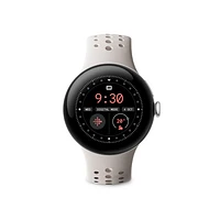 Google Pixel Watch 2 Sport Band - Porcelain - Large
