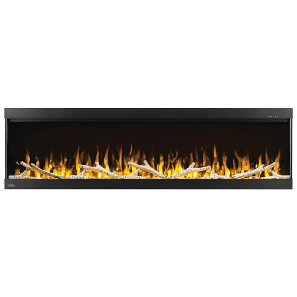 Napoleon Trivista Pictura 60" Electric Fireplace - 5000 BTU - Black