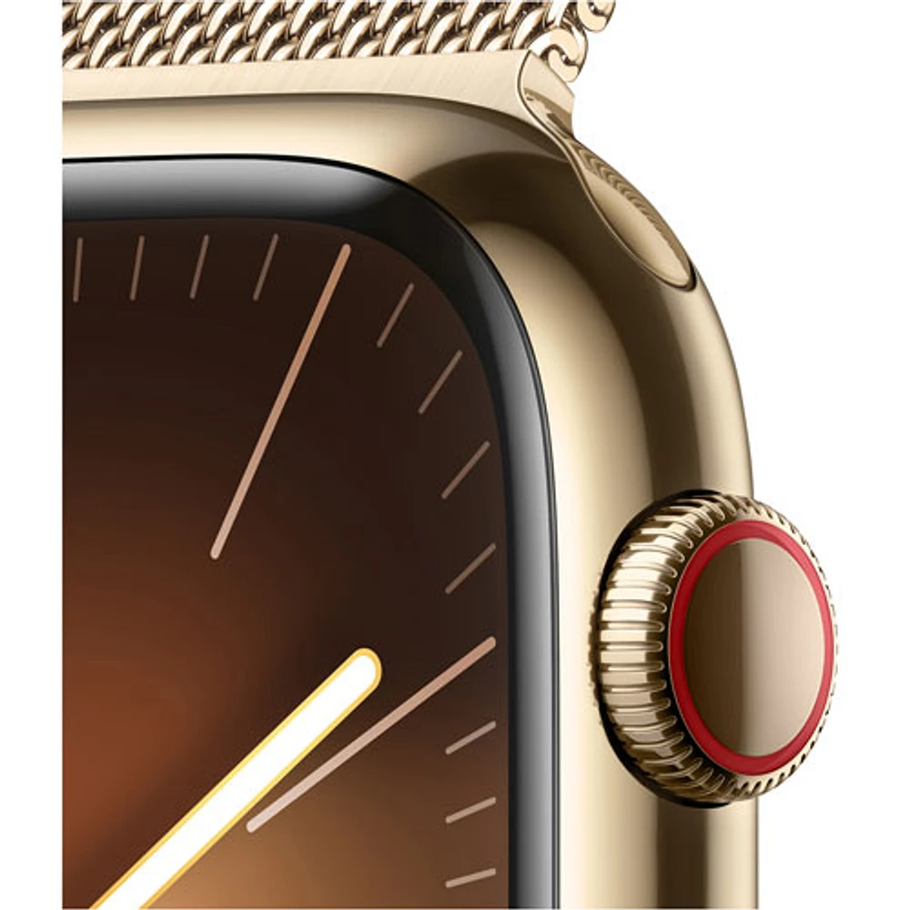 Rogers Apple Watch Series 9 (GPS + Cellular) 45mm Gold Stainless Steel Case w/Gold Milanese Loop - L - Monthly Financing