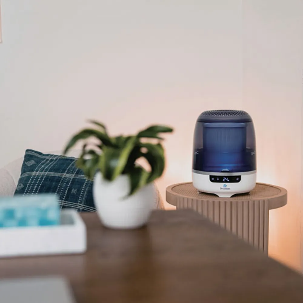 Purificateur d'air sec HOCl Aaira + humidificateur de DH Lifelabs - Bleu